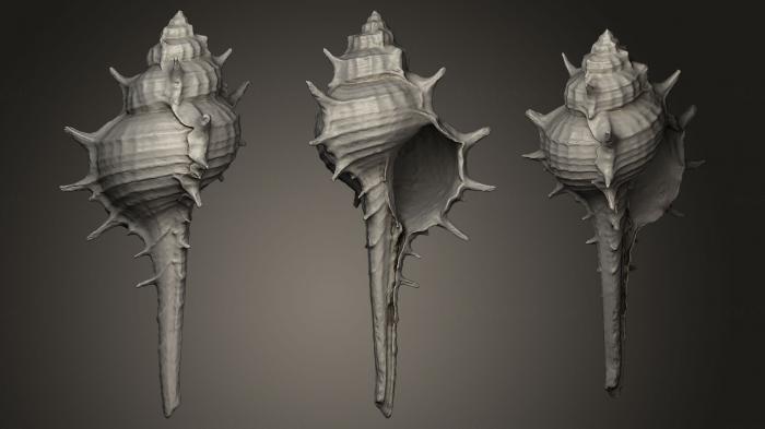 Stones and shells (ROCKS_0011) 3D model for CNC machine